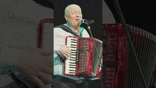 Синеокая #николай #засидкевич #аккордеонист