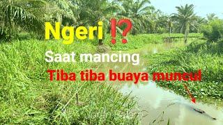 Buaya Muncul⁉️ Saat Mancing Toman Waktu Asik Melihat Pelampung Bergerak Pas Di Sebelah.