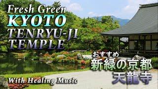 渡月橋から京都嵯峨天龍寺を一巡り、竹林の小径を抜けると妖精が…  / Fresh Green KYOTO TENRYU-JI TEMPLE with Healing Music