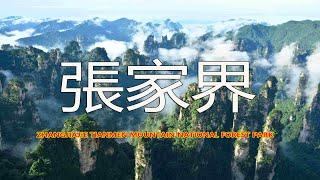 張家界天門山國家森林公園，去張家界旅遊，看完這個視頻就夠了Zhangjiajie Tianmen Mountain National Forest Park