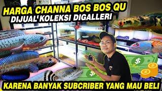 CHANNA DIJUAL?? REVIEW HARGA SEMUA CHANNA DI GALLERI BOS BOS QU