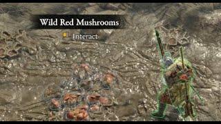 Brought to Heel - Collect Wild Red Mushrooms for Lumir - Hawezar Side Quests - Diablo 4 Gameplay