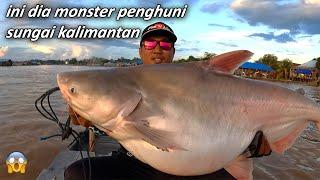 strike ikan patin monster ini bikin perahu hanyut mancing ikan patin monster di sungai besar