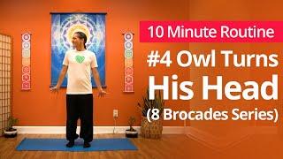 8 Brocades "Ba Duan Jin" #4: Owl Turns His Head | 10 Minute Daily Routines #qigong #taichi