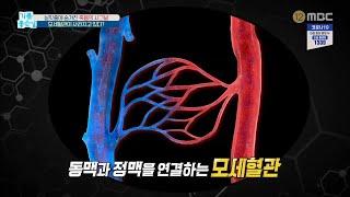 [기분 좋은 날] 모세혈관 건강 자가진단법! 20200220