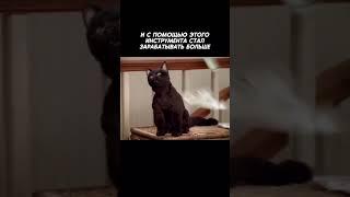 #оцифровка #маркетплейс #финансы