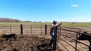 Life of a South Dakota Rancher