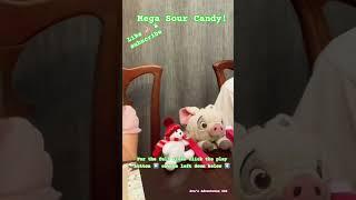 Trying the MEGA SOUR CANDY In the World!   | AA222