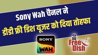 DD FREE DISH BIG UPDATE TODAY | Sony Wah Channel BIG UPDATE TODAY