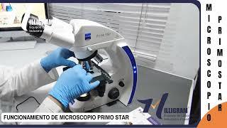 FUNCIONAMIENTO Y PARTES DEL MICROSCOPIO ZEISS PRIMO STAR / PARTE 2