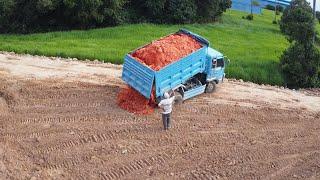 The Fist New Project Delete Pound Flooded Landfill! Bulldozer D20 & Dump Truck Unloading