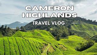 Cameron Highlands Malaysia | Travel Vlog | Mossy Forest | Tea Plantation