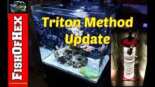 Triton Method Four Month Update | Full System Review