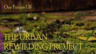 Bristol's Garden Rewilding Project [DOCUMENTARY]