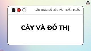 Cây và đồ thị | TEK4.VN