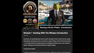 Hunting with the whales Trading Course