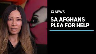 South Australia's Afghan community asks Premier for help | ABC News