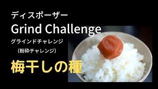 【梅干しの種】エマソン社 ディスポーザー AC105-B イン・シンク・イレーター グラインドチャレンジ