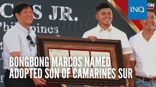 Bongbong Marcos named adopted son of Camarines Sur