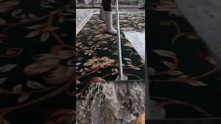 EPIC Timelapse Of This Full Rug Clean. What A RESULT! Satisfying ASMR Timelapse.