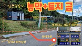 영흥도 선재도 대부도 전원주택지 펜션부지 상가부지 부동산상담전문