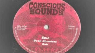 Bush Chemists  - Epic -  extended with dub conscious sounds records 2005 stepper reggae