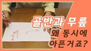 골반과 무릎 왜 동시에 아픈거죠? 건강 밸런스를 찾는 수미르 한의원