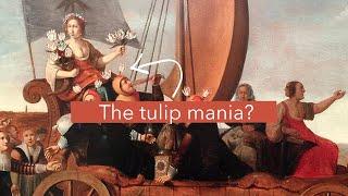 What do you know about the Tulip Mania?