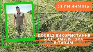Досвід Використання Органічного Біостимулятору Росту - Вітазим на Посівах Ярого Ячменя на Одещині