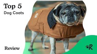 Top 5 Dog Coats Review