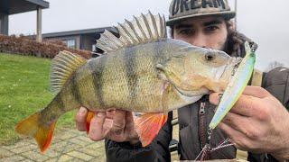 PB geknackt : Mit Baitcast und Twitchbaits auf fette Winterbarsche am See. Tipps und Tricks 