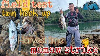 Major craft crostage crx T902MH Field test and Daiwa im procyon lt 2000D-xh #ulfishing#majorcraft