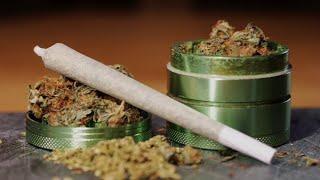 Poll shows strong support for legalizing recreational marijuana in Florida