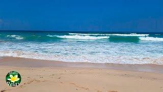 Relaxing Bali Beach Sounds & Ocean Sounds toasty Sleep 8 hours