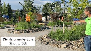 So bringen wir die Natur zurück in die Städte  spannende Projekte zur nachhaltigen Stadtentwicklung