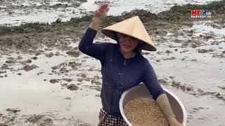 Ung dung KHKT vao san xuat vu Xuan2024