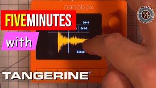 FIVE MINUTES WITH  The Tiny 1010music Tangerine Sampler