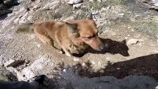 Azrou n Thor ''col de tirourda", pourquoi vous devriez aller ici !