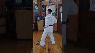 Kanshiwa kata / our Instructor Roman Semenov from Saint Petersburg / Uechi ryu Karate Hozonkai