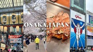what we ate in dotonbori  kuromon market, osaka castle | Osaka Japan vlog ep.1 [ENG/中文］