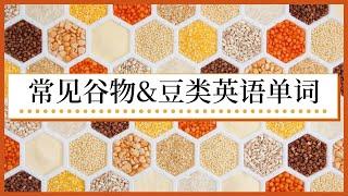 常见谷物&豆类英语单词|零基础英语|穀物&豆類英語單詞|Grains&Beans English Vocabulary