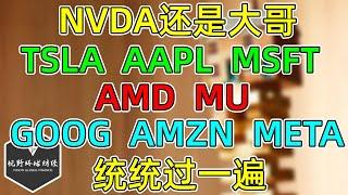 美股 不装了，NVDA还是大哥！TSLA、AAPL、MSFT、GOOG、AMZN、META、AMD、MU统统过一遍！