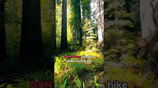 Don’t miss this hike in the Redwoods | Grove of Titans   Redwood National Park California