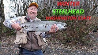 STEELHEAD Fishing Washington State Small River 