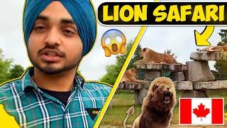 AFRICAN LION SAFARI | CANADA | Prabh Korwa