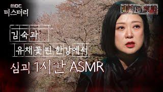 [별 헤는 괴담] 김숙과 유채꽃 핀 한강에서 심괴 1시간 ASMR #심야괴담회 #심괴 #어둑시니 #midnight #horrorstory MBC241013방송