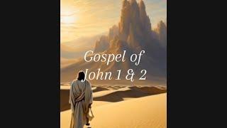 Gospel of John 1&2, Visual and Audio Bible, AI Motion. #christian