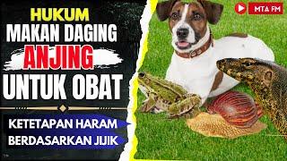 Hukum Makan Daging Anjing Untuk Obat Gatal || Ketetapan Haram Kontroversi Berdasarkan Jijik