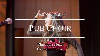 Pineapple Head (Crowded House) covered by Pub Choir in New Zealand