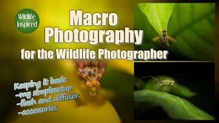 Macro Photography for the Wildlife Photographer